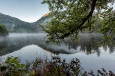 Pierre RICH - Pierre Rich